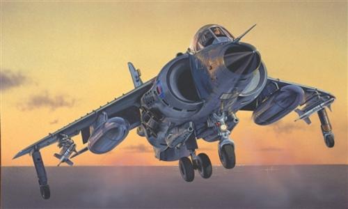 FRS.1 Sea Harrier 40e anniversaire guerre des îles Malouines 1/72 ITALERI 1236